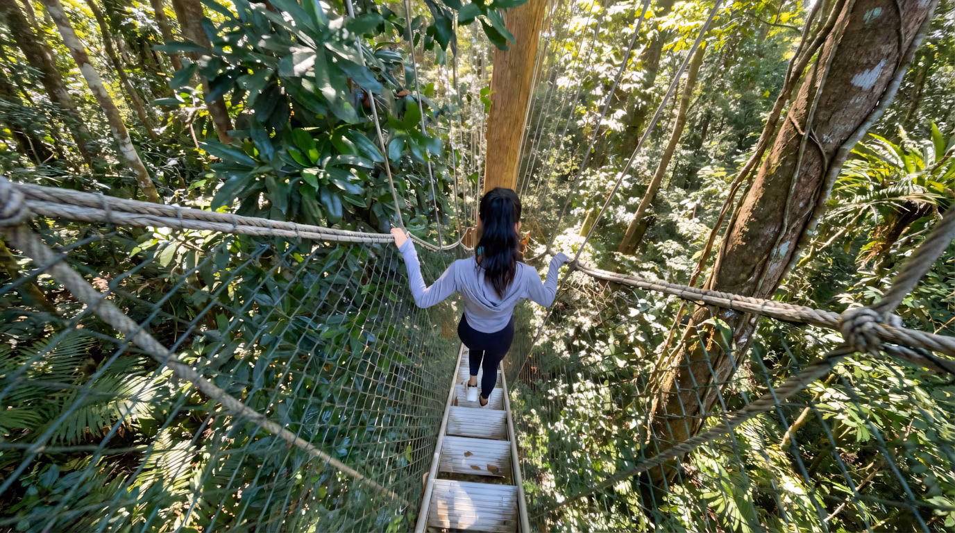 Taman Negara Canopy Walk