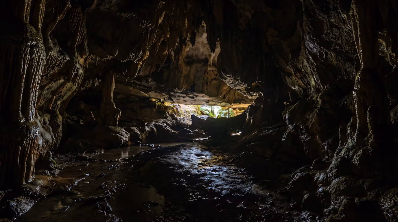 Waipu Caves Scenic Reserve